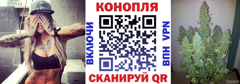 Бошки Шишки семена  Лебедянь 